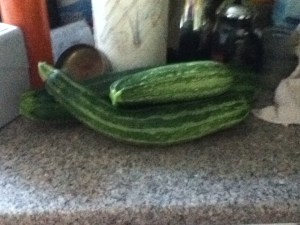 Too much zucchini?  There's no such thing as too much zucchini bread.