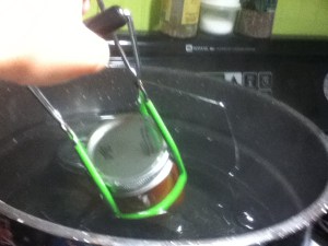 Hot ketchup goes into hot jars with hot- not boiled- lids and rings. Then, 15 minutes in the hot water bath; start timing after the water hits a rolling boil. 