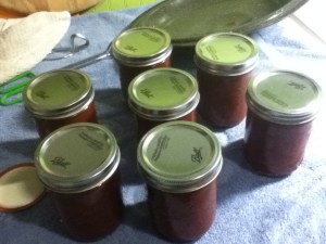 Out of the boiling water and all seven lids snapped. Almost done! 