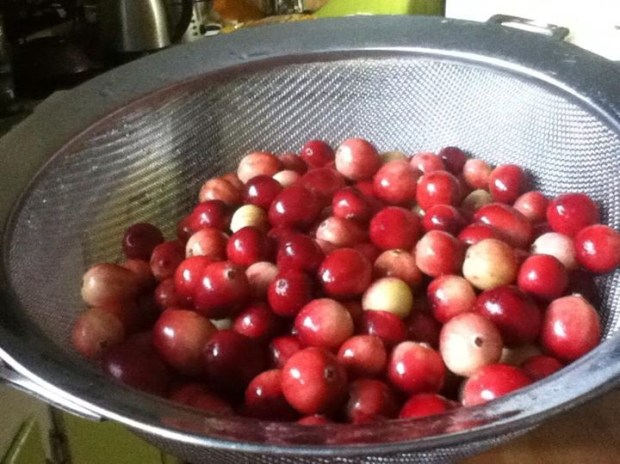 I didn't have my camera with me when I found them. I also didn't have anything to carry them in except my pockets.  Note: I can fit half a pound of cranberries in my pockets. 