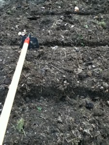 if winter comes, can spring be far behind? -Percy Bysshe Shelley