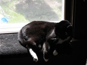 Bonzai will ponder this truth with you. 