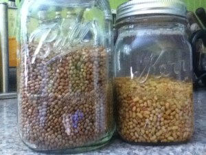 Dry on the left soaked on the right. Incidentally, how awesome are Mason jars?