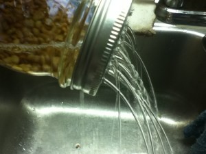 Place the jar lid on your jar. I oriented mine so the pointy parts left by the nail face out. I don't want to shred my sprouts.