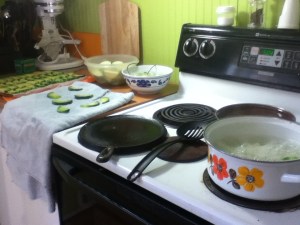 Here's my blanch/chill set up. Some day in November I'll be glad I took the time to save this squash.