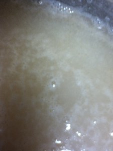 Not the best picture, but you can see the little bubbles the awakening yeasts have belched out.
