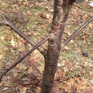 Yeah, that wonky one pointing towards the lower left corner had to go. 