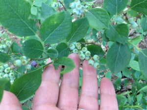 Next time, my friend, next time.