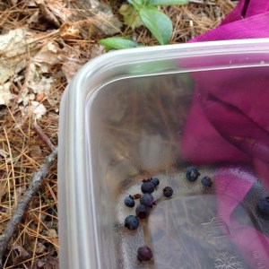 Yup- that's all I got this time around.