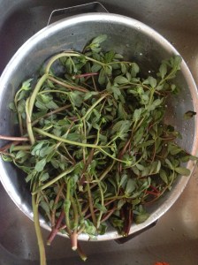 Step one: wash your harvest. Did I really have to tell you that?