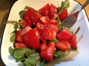 This is a super-simple purslane salad. Purslane and perfectly ripe tomato drizzled with Italian vinaigrette. The acidity of the tomato enhances the purslane.