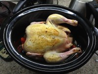 Here's that chicken, with herbs, garlic and tomatoes in a crock pot.