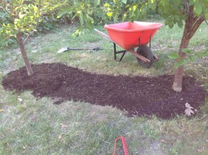 Finally, I topped the crocus bed with a layer of bark mulch.  I extended the mulch around the two trees. As my mom always says- you have to do the pretty. 