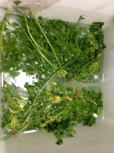 There are plenty of ways to clean your herbs. I like to run mine under the water, agitate carefully for a few minutes, then let the silt settle. Carefully remove the leaves and twigs, then drain the sink.