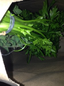 Hang the bundles inside a paper grocery bag. You can have more than one bundle per bag, just make sure you leave room for air to circulate. 