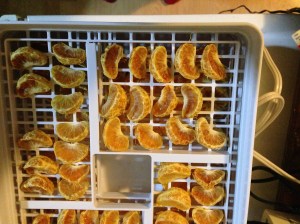 Here is what I woke up to. The outer membranes were sunken and shriveled and made an unexpected rattling sound when I moved the sections from the trays to a plastic food storage container.