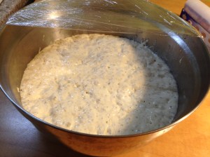 Here is that dough the next morning. There was so much yeast action the bubbles visibly were popping up to the surface. 